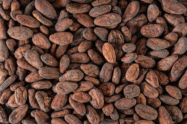 Cocoa Beans