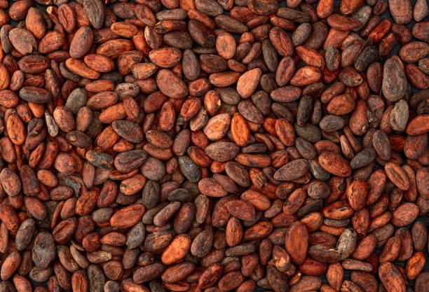 Cocoa Beans