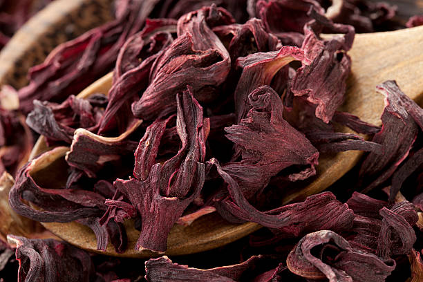 Hibiscus Flowers