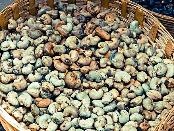 Raw Cashew Nuts