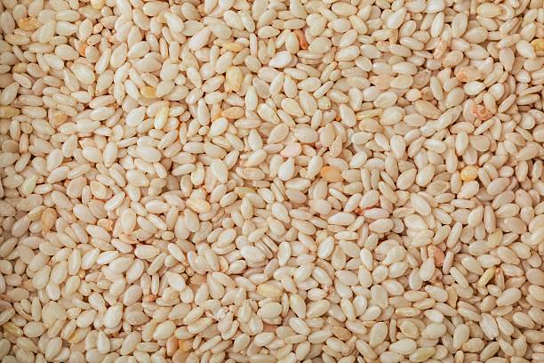 Sesame Seeds