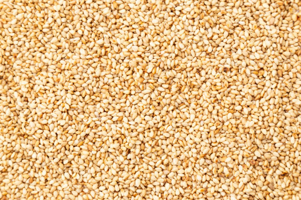 Sesame Seeds