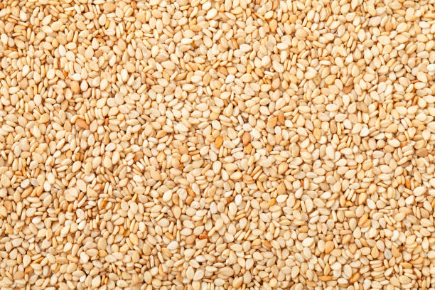 Sesame Seeds