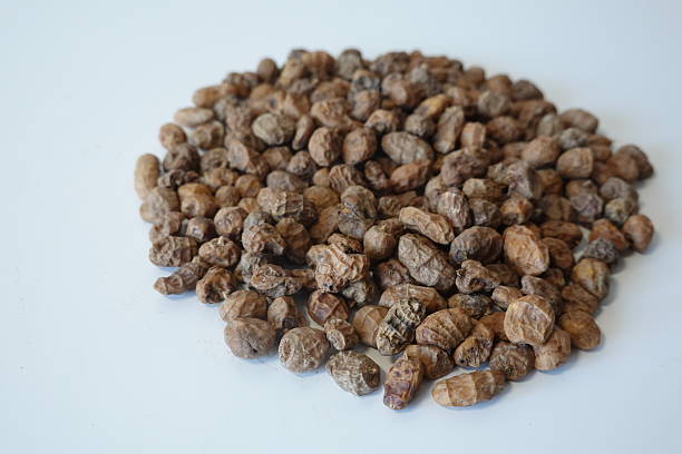 Tiger Nuts