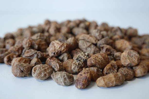 Tiger Nuts