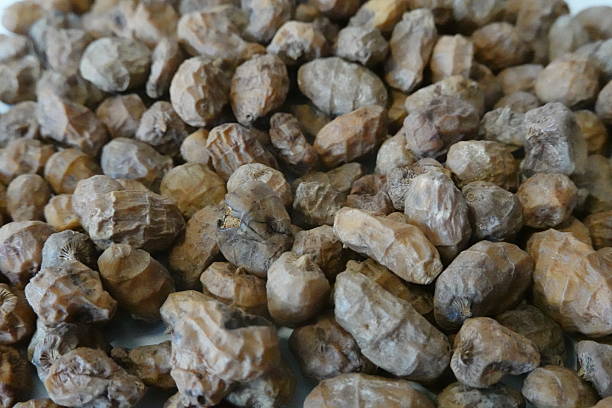 Tiger Nuts