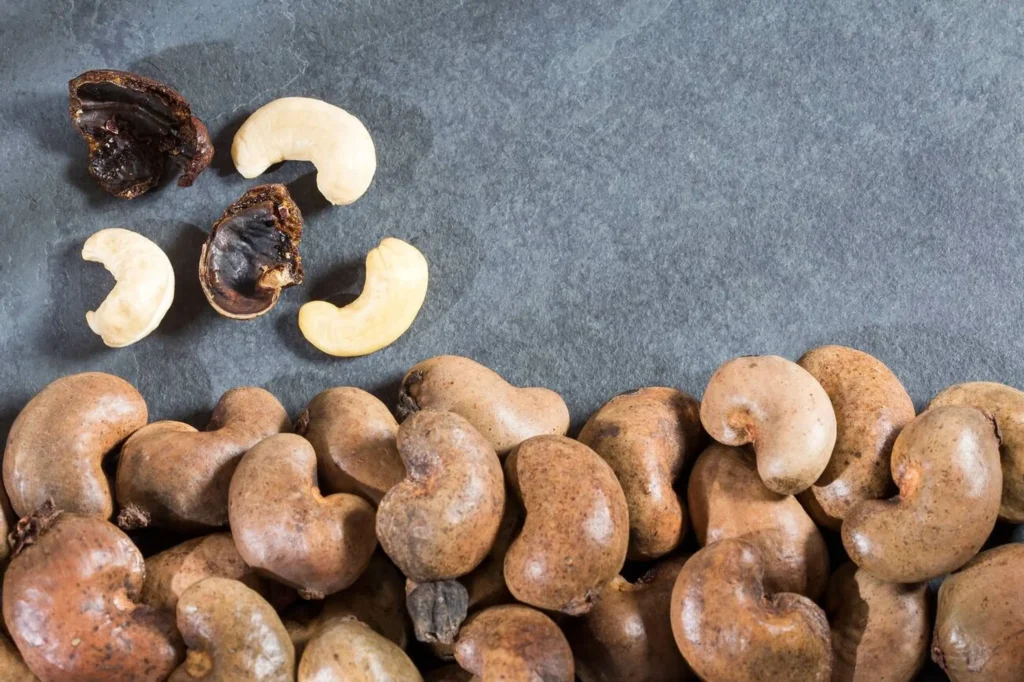 Raw Cashew Nuts